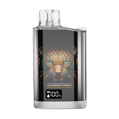 Vape 9000 puffs